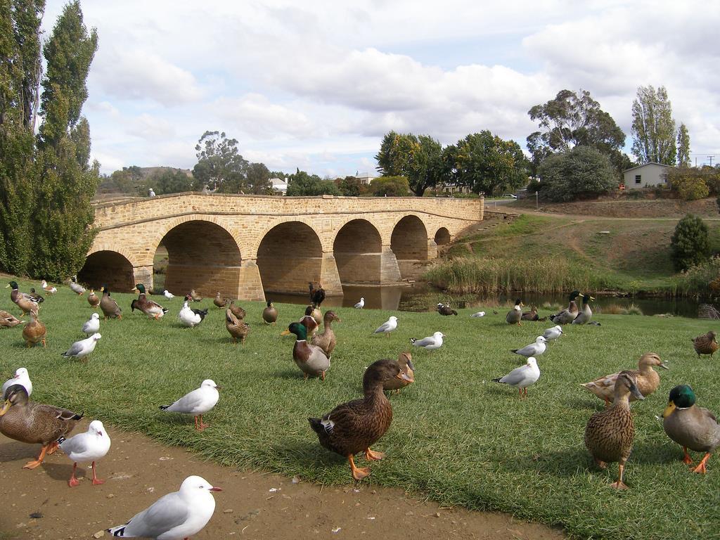 Bridge Cottages Sargeants & Armoury Cottages 1823 - History & Charm ริชมอนด์ ภายนอก รูปภาพ